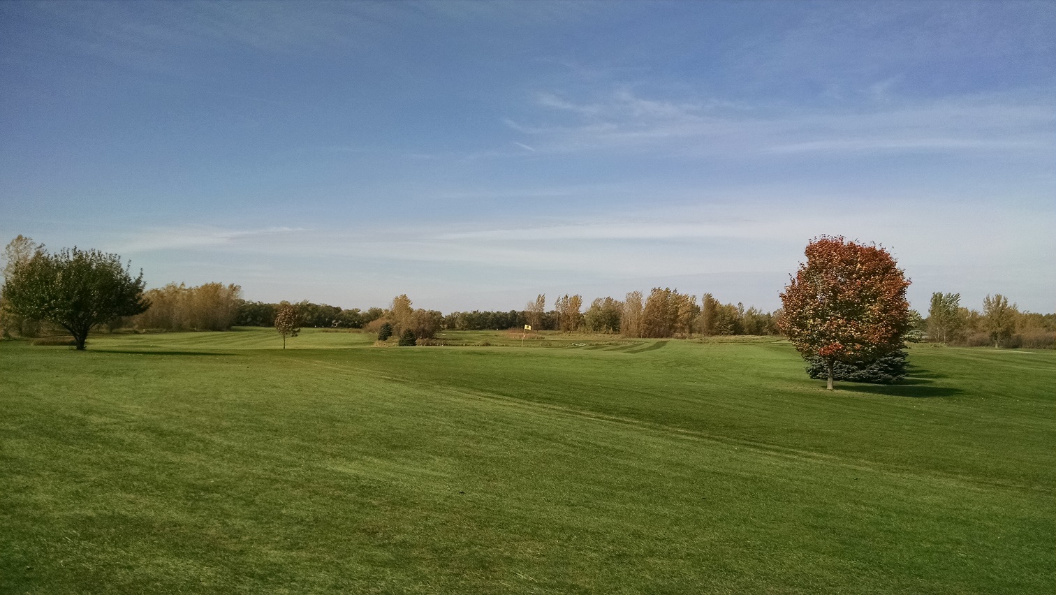 Golf up Minnesota 65, Part 1 Fore! Gone.