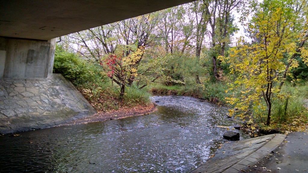 Underneath the I-94 bridge that crosses over Shingle Creek. This is not the creek's original path; it used to be farther to the south. This would be close to the grounds of Camden Park Golf Club, if (unlikely) it was east of Lyndale Avenue.